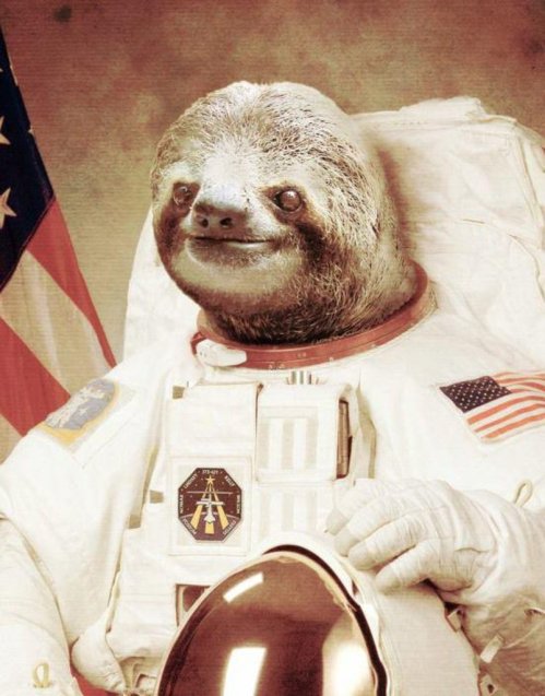 slothstronaut