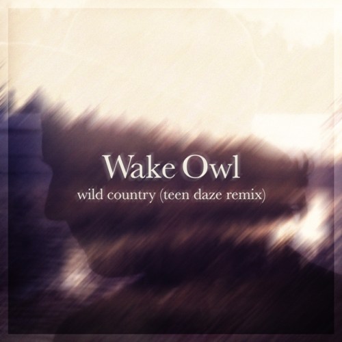 wake-owl-teen-daze-remix