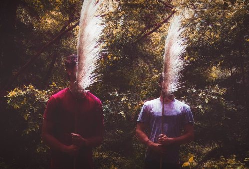 slenderbodies